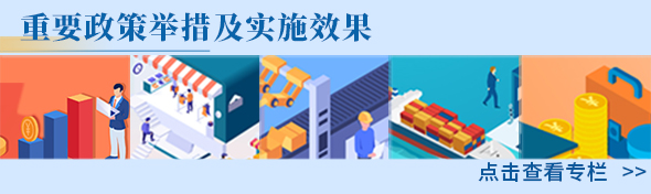 重要政策舉措及實施效果